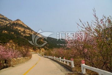 泰山桃花峪风光