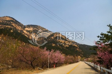 泰山桃花峪风光