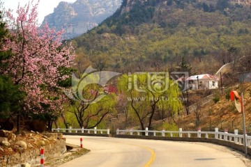 泰山桃花峪风光