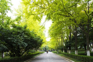 秋天的道路