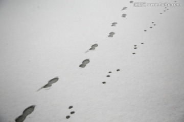 脚印 雪地