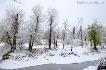 树林 小河