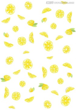 水果系列。柠檬