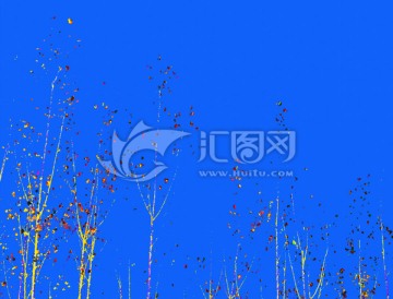 抽象畫 樹
