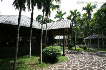 雷琼火山公园 野菜馆 餐厅