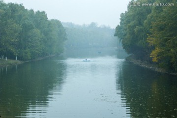 湖泊丛林