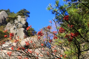 黄山风光