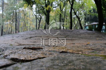 山间石路