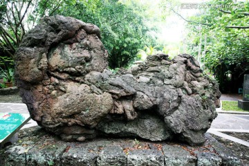 火山石 怪石