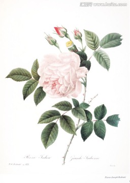 歐式花卉裝飾畫(huà)無(wú)框畫(huà)