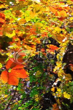 秋天抽象油画