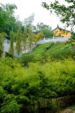 高峰禅寺