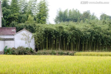 田园风光