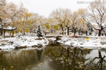 满都海公园冬景