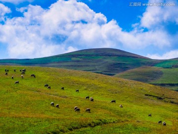 草山