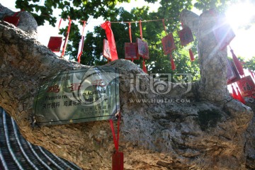 海口风光 五公祠 建筑 海口