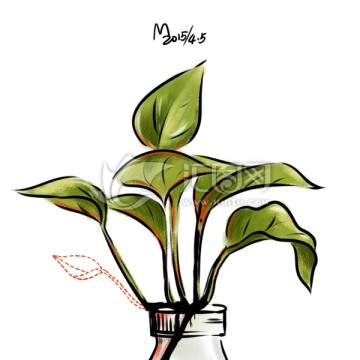 綠蘿插畫