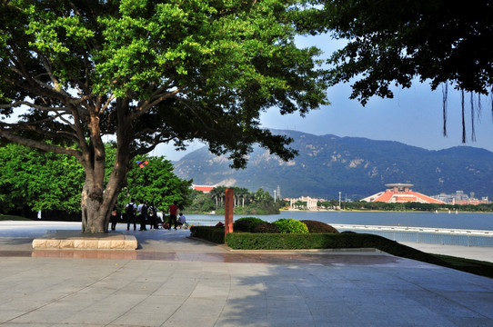 西湖风景