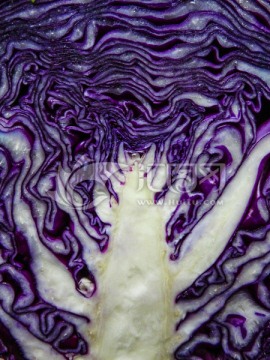 紫橄榄菜 抽象