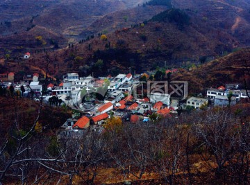 泰山 村庄