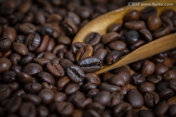 咖啡豆写真