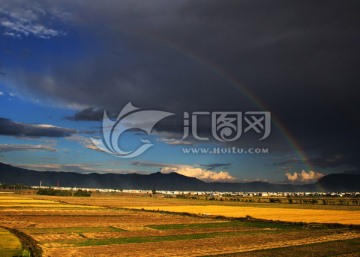 彩虹下的稻田
