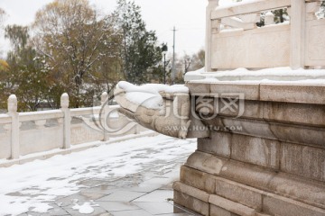 冰雪覆盖 神兽