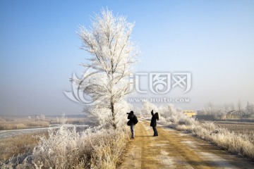 赏雾凇美景