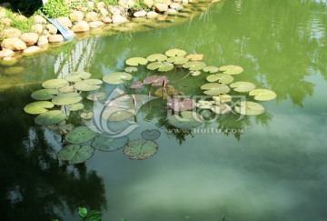 五公祠 旅游 古迹 休闲 海南