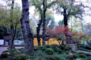 天平山风光