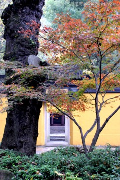 天平山风光