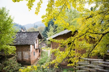 韶關(guān)南雄坪田