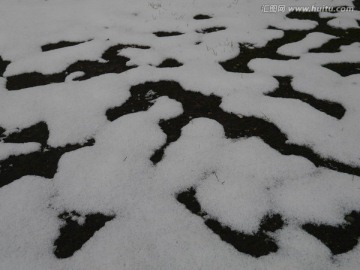 雪地