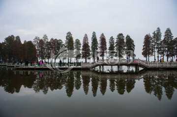 武汉东湖梨园