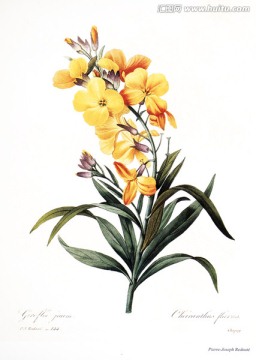 歐式花卉