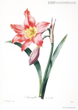花卉油畫