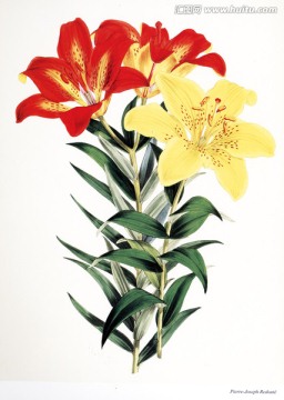 花卉油畫