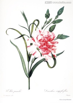 花卉油畫