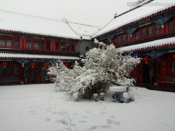 雪中的庭院