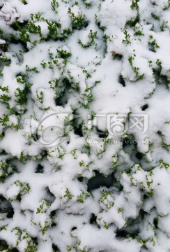 雪 纹理