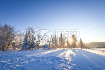 林海雪原羊草山日出