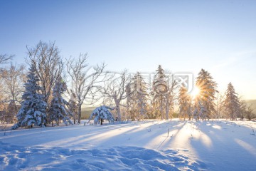 林海雪原羊草山日出