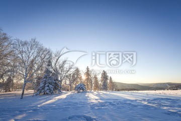 林海雪原羊草山日出