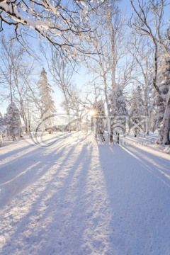 林海雪原羊草山日出