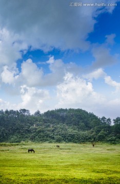 黄山田野图