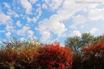 秋日风景