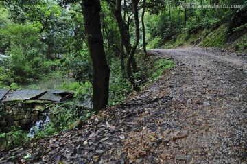 潮湿的山间小路