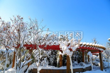 蓝天雪景