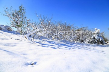 蓝天雪景