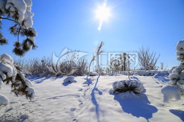 阳光雪景